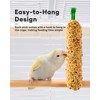 BUCATSTATE Parakeet Treats Honey Treat Sticks 3 Packs, Natural Bird