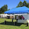 Canopy Weights Sand Bags for Weight Windproof Pop up Canopy