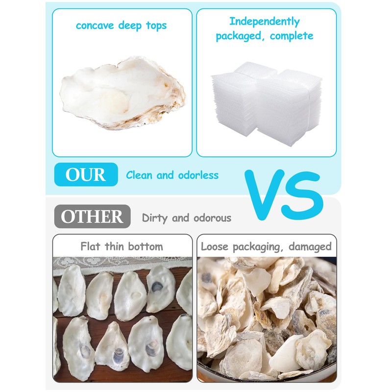 30Pcs Extra Large Oyster Shells for Crafts （ 5"-6"） ,