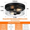 Black Flush Mount Ceiling Light Fixtures, 2-Light Ceiling Mount for