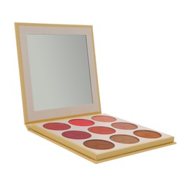 Minkissy 9 Colors Blush Palette Boys and Girls Makeup Kit for Girls Face Blush Powder Set