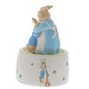 Beatrix Potter Musical, Multicoloured, one Size
