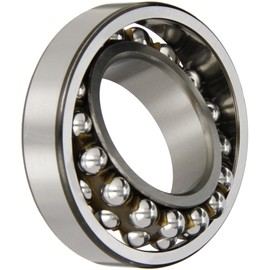 SKF 1210 EKTN9/C3 Self-Aligning Ball Bearing