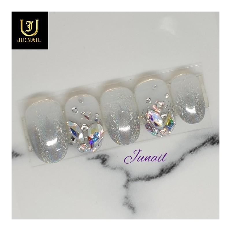 Hologram powder handmade nail tips - Short straight nose pin