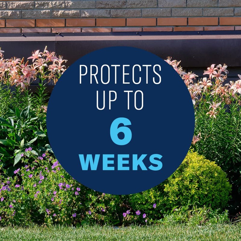 BioAdvanced Shrub Care Protect & Feed, Granules, 4 lb.