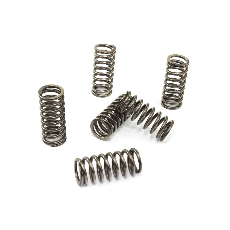 KIT MOLLE FRIZIONE EBC (4 PEZZI) RINFORZATE 10%