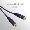 RCA Male to 2RCA Female Video Audio Y Type RCA