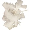 51663 Create Craft - Feathers Turkey 50G White