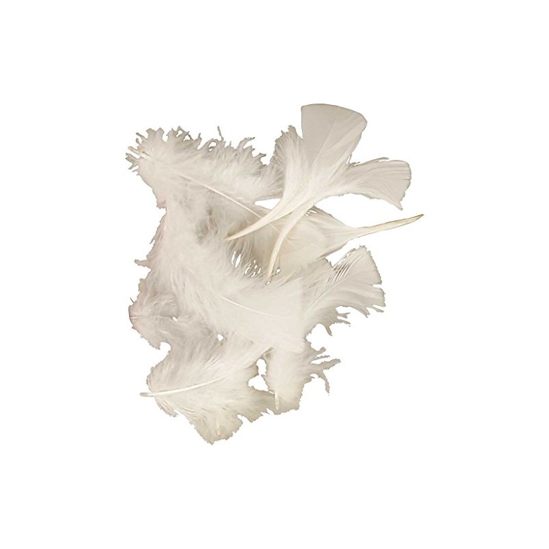 51663 Create Craft - Feathers Turkey 50G White