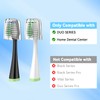 Replacement Brush Heads for AquaSonic Duo Series & Home Dental