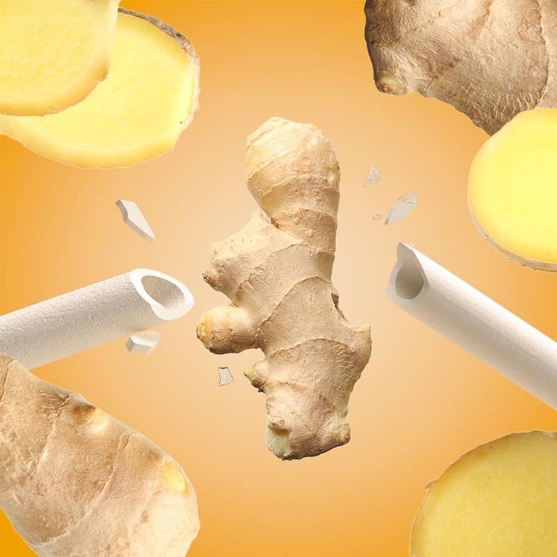 Sorbos Edible Straws, Ginger Flavored, Sustainable, Individually Packaged, No Plastic,
