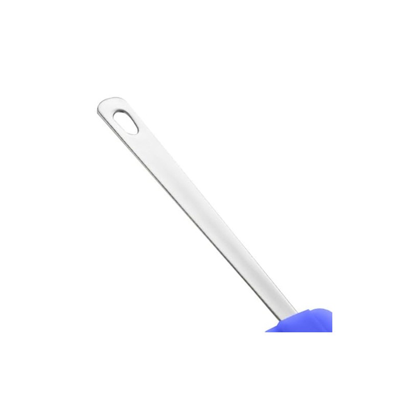 IBILI Scraper with Handle, Stainless Steel Silver/Purple, 30 x 8