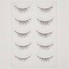 CLEAREYELASH Natural False Eyelashes, Natural 3D Eyelashes, 5 Pairs (N02