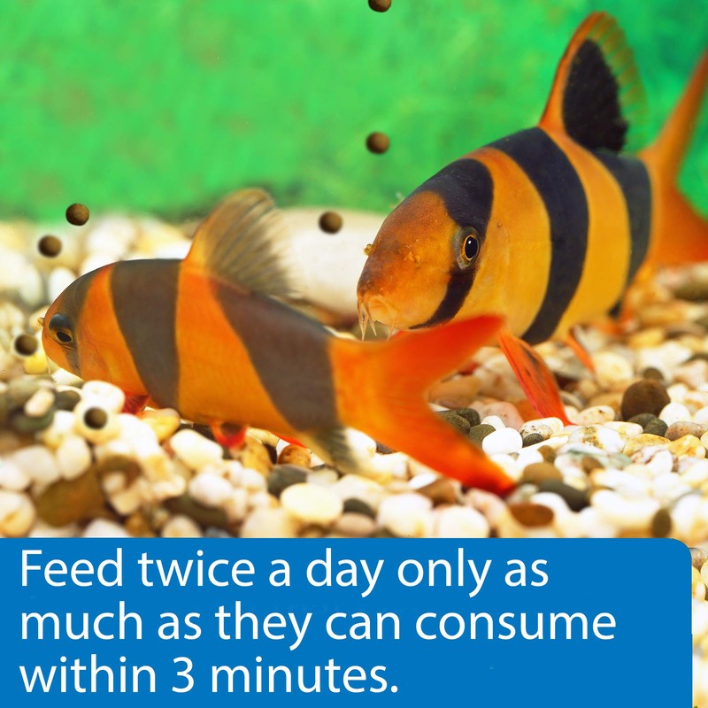 API BOTTOM FEEDER PELLETS WITH SQUID Fish Food 4.0-Ounce Container