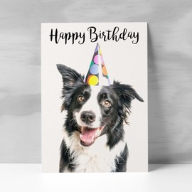Postcard Prints - Birthday Card For Him or Her Fun Birthday Card of A Collie Dog Happy Birthday Card For Mum, Dad, Sister Brother