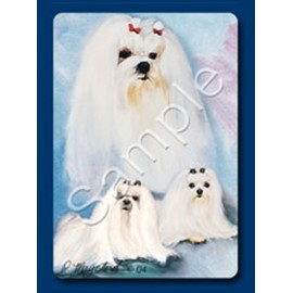 Maltese Dog Playing Cards Designed by Ruth Maystead (MAL-PC)