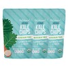 Organic Kale Chips - Cashew Cream & Onion (3 Pack)