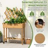 Giantex Raised Garden Bed on Wheels, Rolling Planter Boxes with