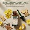 Pulmoria Clear Stuck Mucus, with Wild Mullein Extract, Cordyceps, Bromelain,