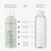 EcoTools - Shampoo Limpiador para Brochas y Esponjas de Maquillaje,