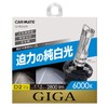 Carmate GHB260N HID Genuine Replacement GIGA Perfect Sky D2R D2S