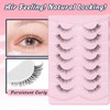 Cat Eyelashes Natural Eye Lashes 12mm False Lashes Wispy Thin