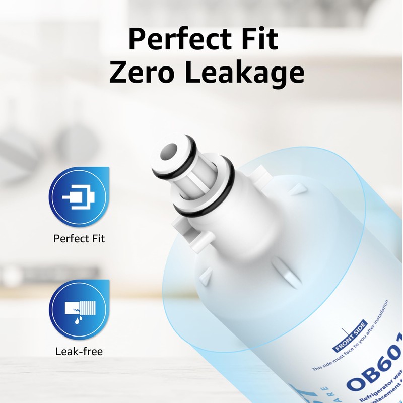 Overbest Replacement for GE® RPWFE, RPWF (Built-in CHIP) Refrigerator Water