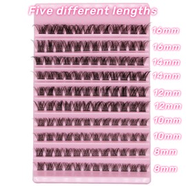 Selawasty 120pcs Lash Clusters DIY Eyelash Extensions Clusters Lashes D Curl Individual Lashes Eyelash Clusters Extensions Wispy Lashes Cluster DIY at Home (S10-D-8-16MIX)