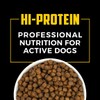 Sportsman's Pride Field Master 30/20 High-Protein Dry Dog Food, 40-lb