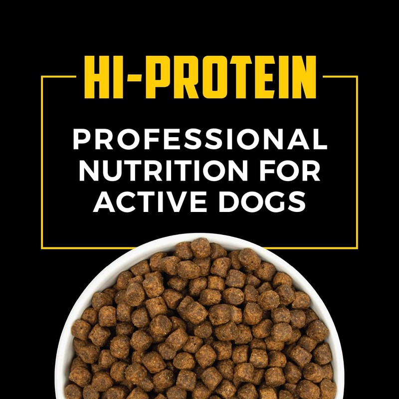 Sportsman's Pride Field Master 30/20 High-Protein Dry Dog Food, 40-lb