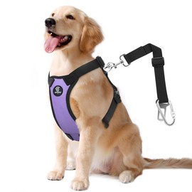 VavoPaw Dog Vehicle Safety Vest Harness, Adjustable Soft Padded Mesh Car Seat Belt Leash Harness with Travel Strap and Carabiner for Most Cars, Size Extra Large, Purple