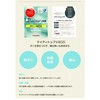 Sleeping Princess Washable Skin Comforter, Made in Japan, Single, Rosary,