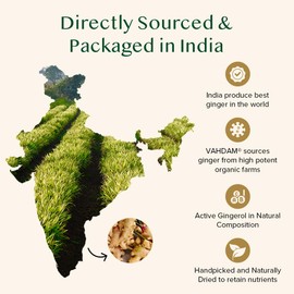 VAHDAM, Ginger Tea (100 Tea Bags)| Caffeine Free, Non-GMO, Indian Origin, Eco-Friendly Individually Wrapped Tea Bags