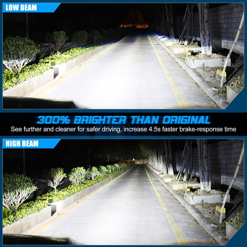 D1S Xenon Brenner., 10000K