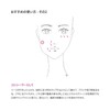 BISOU Concealer, Eye Bear, Stains & Melasma Cover Enhancing Stick