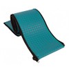 Rail Runners Teal In-ground Swimming Pool Ladder & Handrail Cover