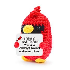 MHSMHL - Regalos cardenales para mujeres, regalos de simpatía para la pérdida de un ser querido, regalo conmemorativo de ganchillo, cardenal de apoyo emocional, estudiantes universitarios, compañeros