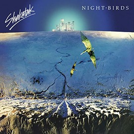 Night Birds [VINYL]