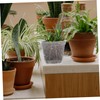 BESPORTBLE 10pcs Orchid Pots Drainage Holes Flower for and Cactus
