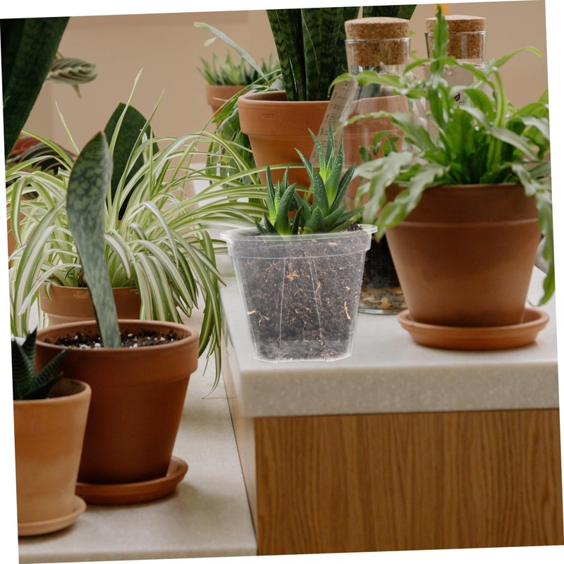 BESPORTBLE 10pcs Orchid Pots Drainage Holes Flower for and Cactus