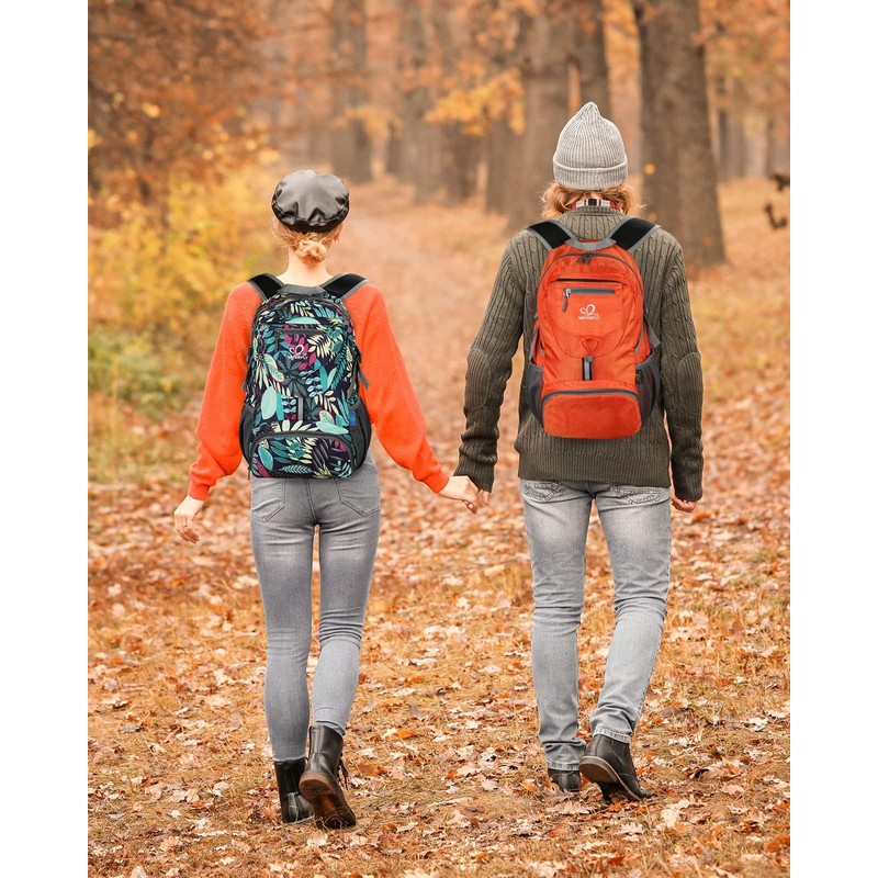WATERFLY Ultralight Foldable Small Backpack: 20L Lightweight Packable Hiking Backpack