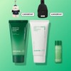 innisfree 이니스프리 그린티 2종세트 세라마이드 크림 80mL + 그린티 씨드