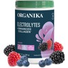Organika Electrolitos con Colágeno con Prebióticos Limón y Bayas 360