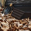 Flushbay Reptile Water Feeder Automatic Water Dispenser with Ramp Extra