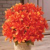 Collections Etc. Artificial Chrysanthemums, Low-Maintenance Colorful Artificial Flower Bouquets, Set