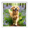 Golden Retriever Dog Coaster Set. 4 different Golden Retriever Dog