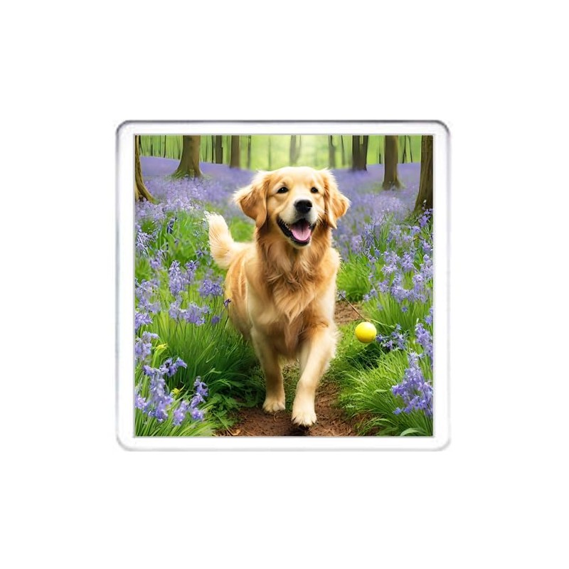 Golden Retriever Dog Coaster Set. 4 different Golden Retriever Dog