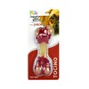Fancy Pets Juguete Dental en Forma de Hueso con Sabor
