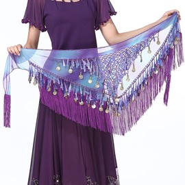 Belly Dance Skirt, Fancy Dress Belly Dance Costume Belt with Gold Coins, Black Scarf Women's Dance Costume Foulard Belly Dance Dress for Women Girls Zumba Yoga, purple