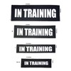 Albcorp Reflective In Training Patches with Hook Backing for Service